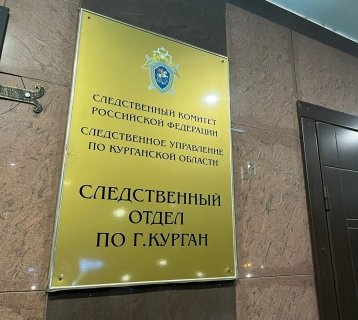 За применение насилия в отношении представителя власти осужден житель города Кургана